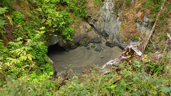 Little River Blowhole Trail - Little River - Blowhole Trail (8/6/2018 - Credits: Kellen Lim)