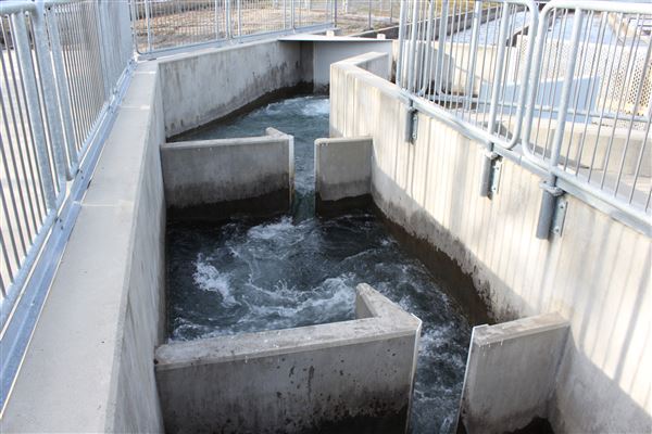 Coleman National Fish Hatchery (7/1/2018 - Credits: Film Shasta)