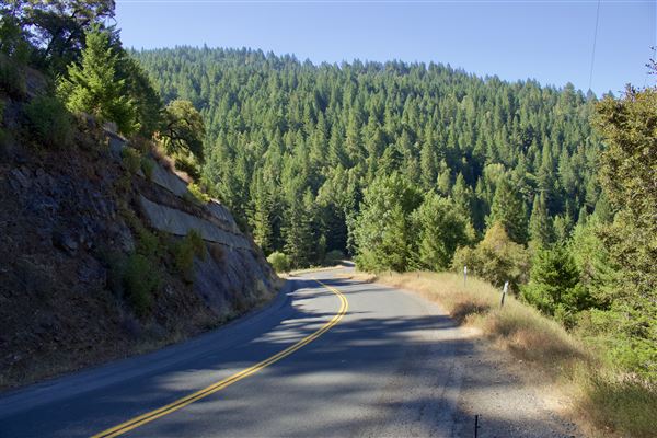 Mountain View Road - Mountain View Road (8/1/2018 - Credits: Kellen Lim)