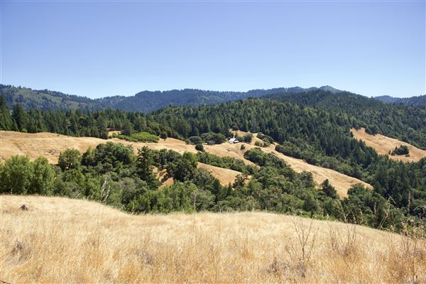 Mountain View Road - Mountain View Road - view of road along abandoned Mt. View Ranch (8/1/2018 - Credits: Kellen Lim)
