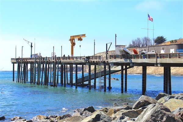 Point Arena Fishing Pier - Arena Cove Historic District (8/1/2018 - Credits: Kellen Lim)