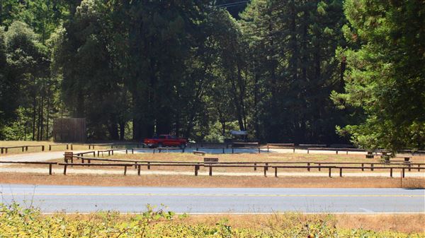 Jackson Demonstration State Forest Camp 20 Recreation Area (9/3/2018 - Credits: Kellen Lim)
