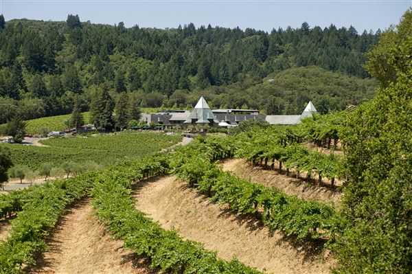 Francis Ford Coppola Winery (1/1/2006 - Credits: Chad Keig)