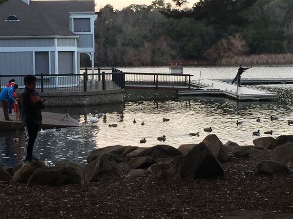 Howarth Park (4/3/2019)