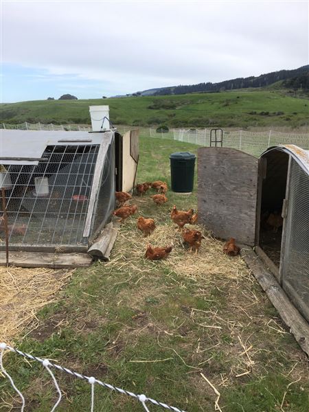 Wavelength Farm - Actual date taken unknown. (4/2/2019 - Credits: Renee Bertrand)