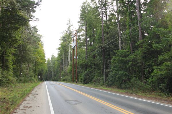 Simpson Lane - Rural County Road (1/26/2019 - Credits: Kellen Lim)