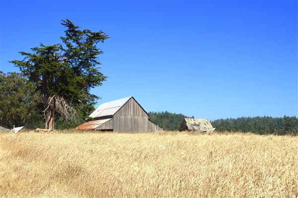 Historic Barns at Spring-Ranch Preserve located in Van Damme State Park (SP) (7/9/2017 - Credits: Kellen Lim)