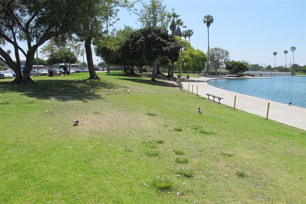 Alondra Community Regional Park (6/1/2019 - Credits: LocoScout)