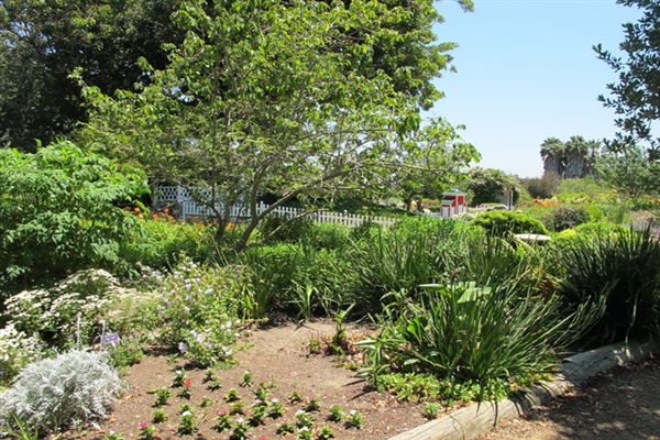 South Coast Botanic Garden (6/1/2019 - Credits: LocoScout)