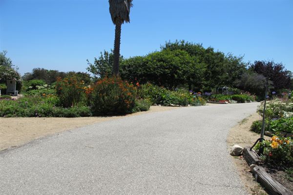 South Coast Botanic Garden (6/1/2019 - Credits: LocoScout)