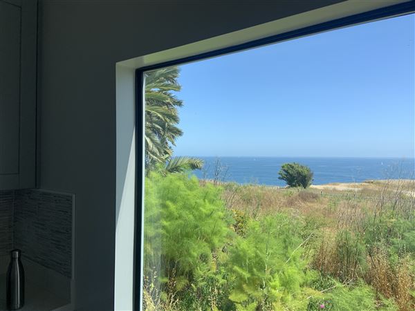 Tropical San Pedro @ Point Fermin Lands End - Unobstructed Panoramic Pacific Ocean Views of Catalina Island (9/19/2020 - Credits: None, I took this photo myself of my own property)