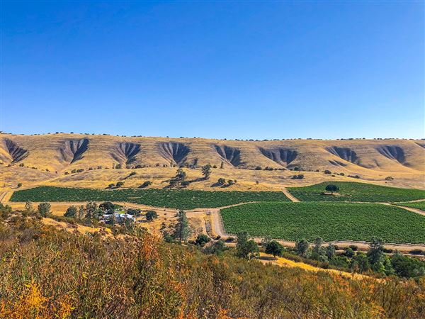 Oreana Winery & Vineyard - Fisco (9/1/2020 - Credits: Photos, Videos and 360° Virtual Tour by Kevin Dole - Home3D.us)