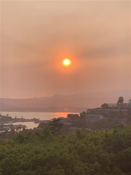 Home in the Hills of Tiburon/SF Bay Area (8/29/2021)