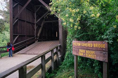 Felton Covered Bridge County Park (12/31/2003)