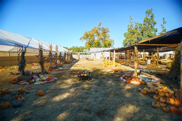 Julia's Fruit Stand (3/1/2022 - Credits: Film Tehama)