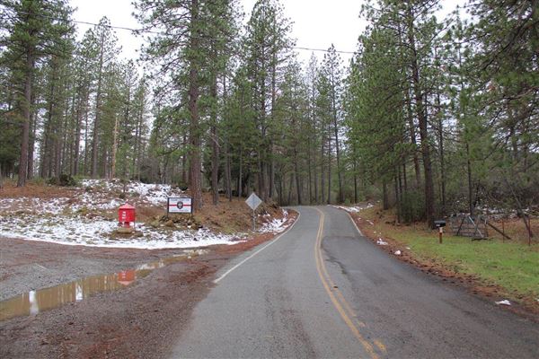 Payne's Creek (3/1/2022 - Credits: Film Tehama)