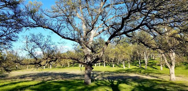 Payne's Creek Wetlands (3/1/2022 - Credits: Film Tehama)