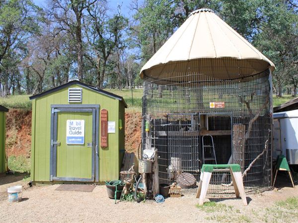 West Coast Falconry (4/11/2022 - Credits: Yuba Sutter Film Commission)