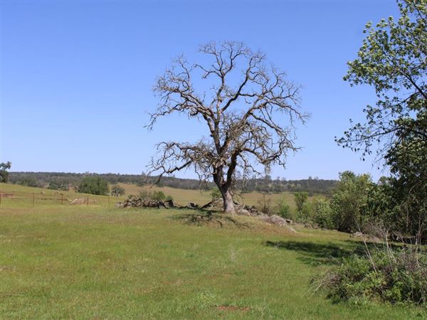 Waldo Junction (4/11/2022)
