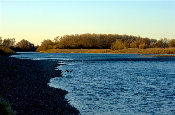 Bidwell-Sacramento River State Park (SP) (3/7/2012 - Credits: Brian Baer)