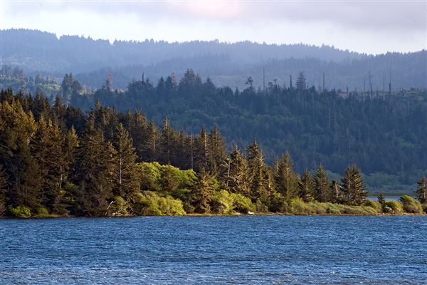 Harry A. Merlo State Recreation Area (SRA) (4/16/2014 - Credits: Brian Baer)