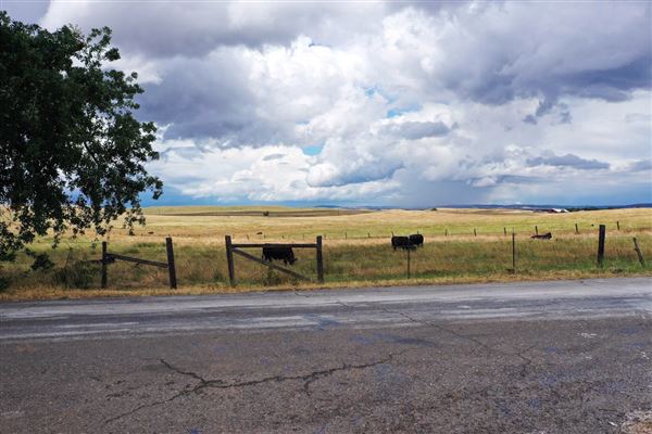 Various Rural Farms And Ranches (8/9/2022)