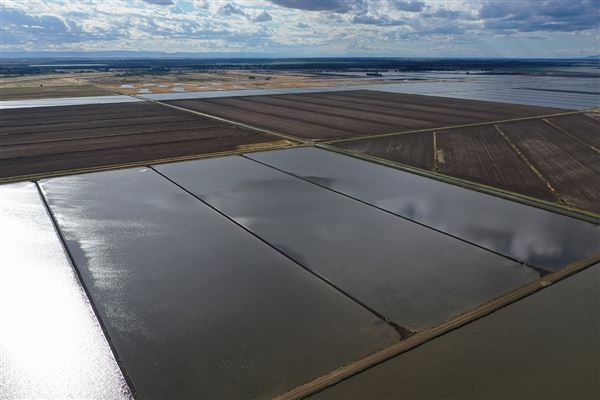 Various Rural Farms And Ranches (8/9/2022)