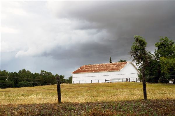 Various Rural Farms And Ranches (8/9/2022)