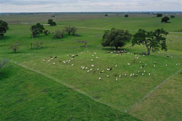 Various Rural Farms And Ranches (8/9/2022)