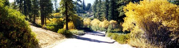 Forest Service Road 2N10 East of 2N86 (12/31/2003)