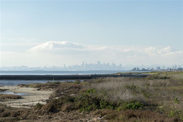 Robert W. Crown Memorial State Beach (SB) - East Bay Regional Park District (2/2/2016 - Credits: Brian Baer)
