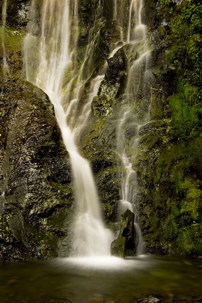 Smithe Redwoods State Natural Reserve (SNR) (6/22/2010 - Credits: Brian Baer)