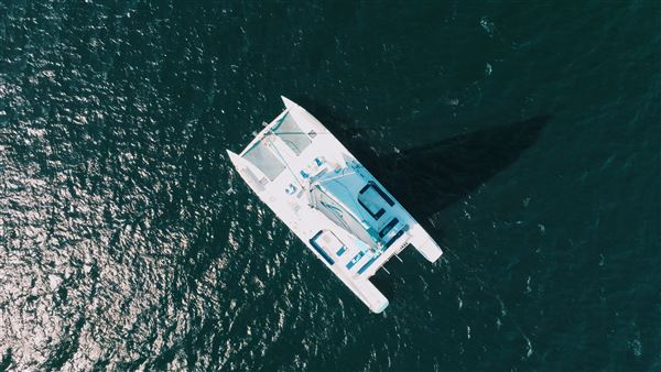 Triton Charters - 70 foot Catamaran in San Diego Bay (9/21/2022)