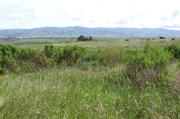 Vision Quest Ranch - Monterey Zoological Society (11/7/2022 - Credits: Charlie Sammut)