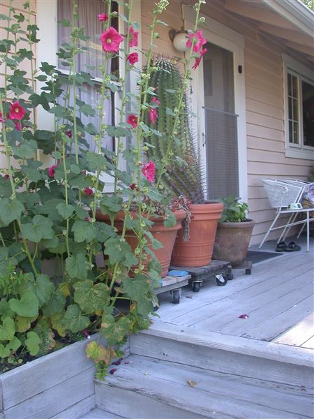 Hollyhock Country Ranch (1/1/2004 - Credits: Lucille Rella Clohessy)