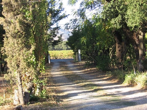 Hollyhock Country Ranch (1/1/2004 - Credits: Lucille Rella Clohessy)