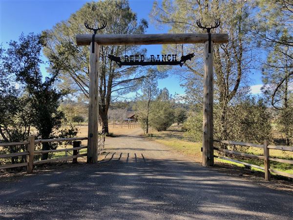 Reed River Ranch (1/26/2023 - Credits: Sally Reed)