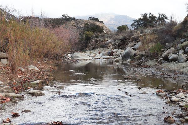Rancho San Fernando Rey (4/19/2022 - Credits: Andrea)
