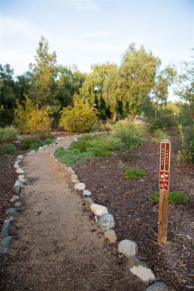 Carbon Canyon Regional Park (3/5/2018 - Credits: OC Parks)