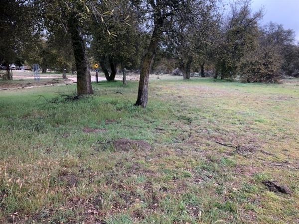 Red Thorne Ranch / The Barn Loft / Mini Petting Zoo (3/23/2023 - Credits: Amber Thorne)