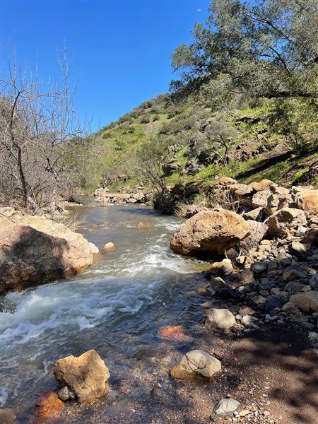 Canyon Ranch (4/3/2023 - Credits: Provided by Julie Hoffman)