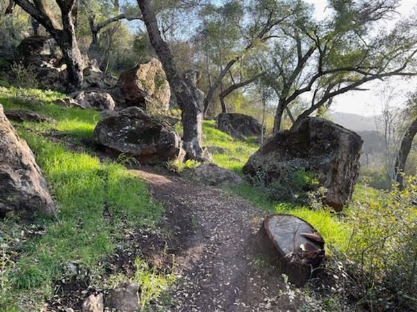 Canyon Ranch (4/3/2023 - Credits: Provided by Julie Hoffman)