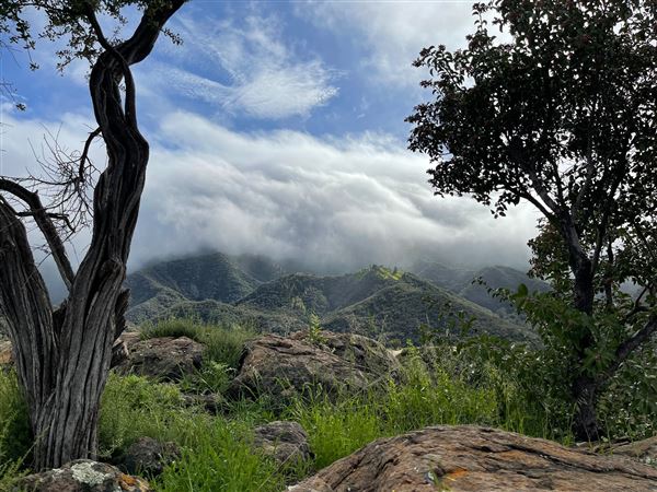 Canyon Ranch (4/3/2023 - Credits: Provided by Julie Hoffman)