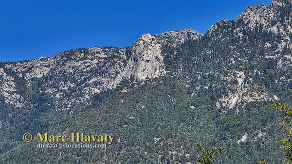Idyllwild Nature Center - Forest (7/5/2023 - Credits: Marc Hlavaty)