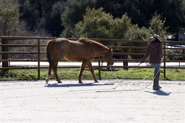 Red Cloud Ranch (2/20/2023 - Credits: Red Cloud Ranch)