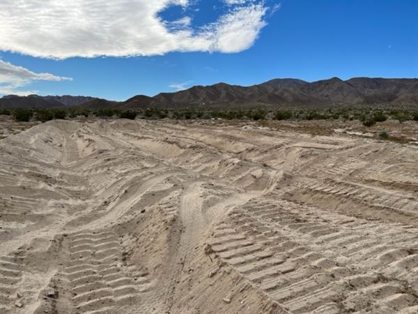 Borrego Spring Mountain Ranch (8/15/2023 - Credits: Caleb Sevian)