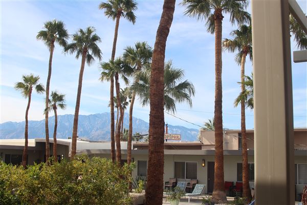 Lido Palms Hotel and Spa (12/1/2022 - Credits: ELLA M)