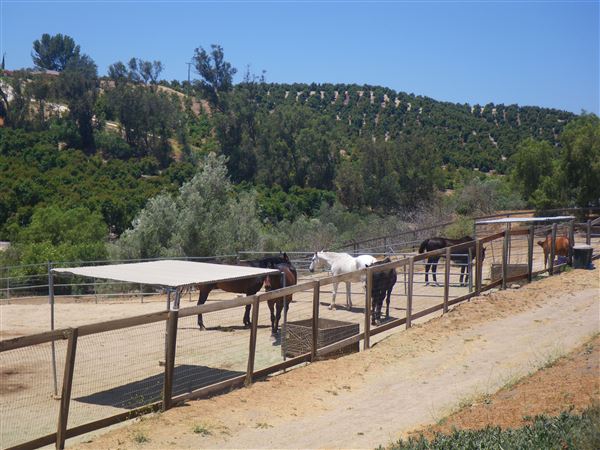 Peck Farm (11/8/2023 - Credits: Peck Farm)