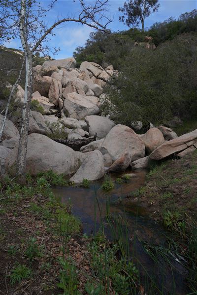 Stone Meadows Ranch (11/29/2023 - Credits: Photo Courtesy of Thomas Levin)