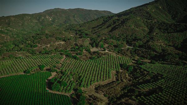 Rancho San Fernando Rey (12/5/2023 - Credits: Rancho San Fernando Rey)